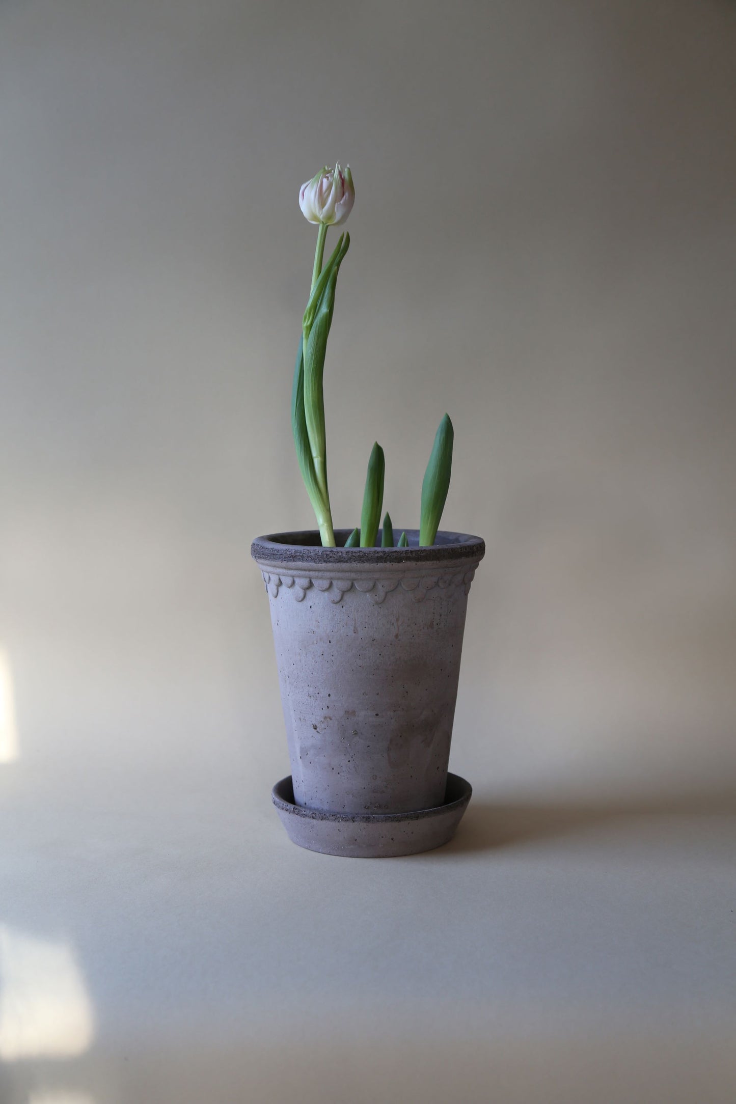 Copenhagen Kruka Hög 10cm, Grå