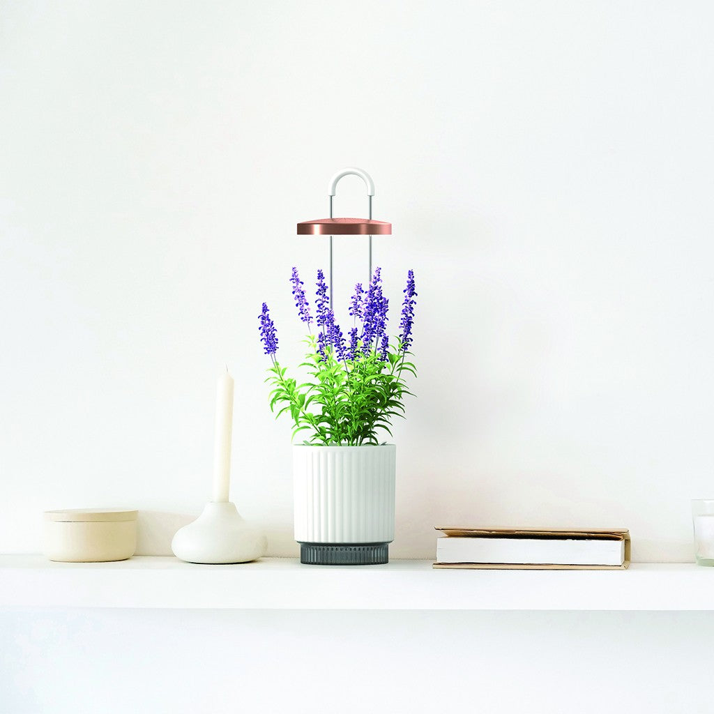 Click & Grow Hydrovase – stilren selvvanningspotte med integrert vekstlys, for innendørs dyrking. Tilgjengelig i grå eller hvit.