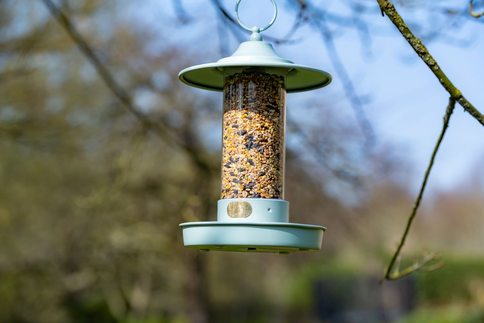 Stilren dus grønn fuglemater med bærehank og god drenering