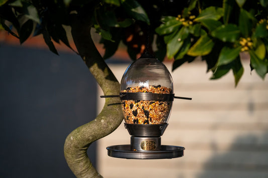 Hazel fuglemater er en nydelig fuglemater laget med sølvgrå patina og elegant håndblåst glass.