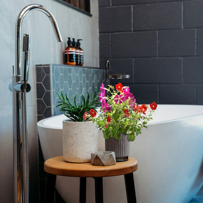 Click & Grow Hydrovase – stilren selvvanningspotte med integrert vekstlys, for innendørs dyrking. Tilgjengelig i grå eller hvit.