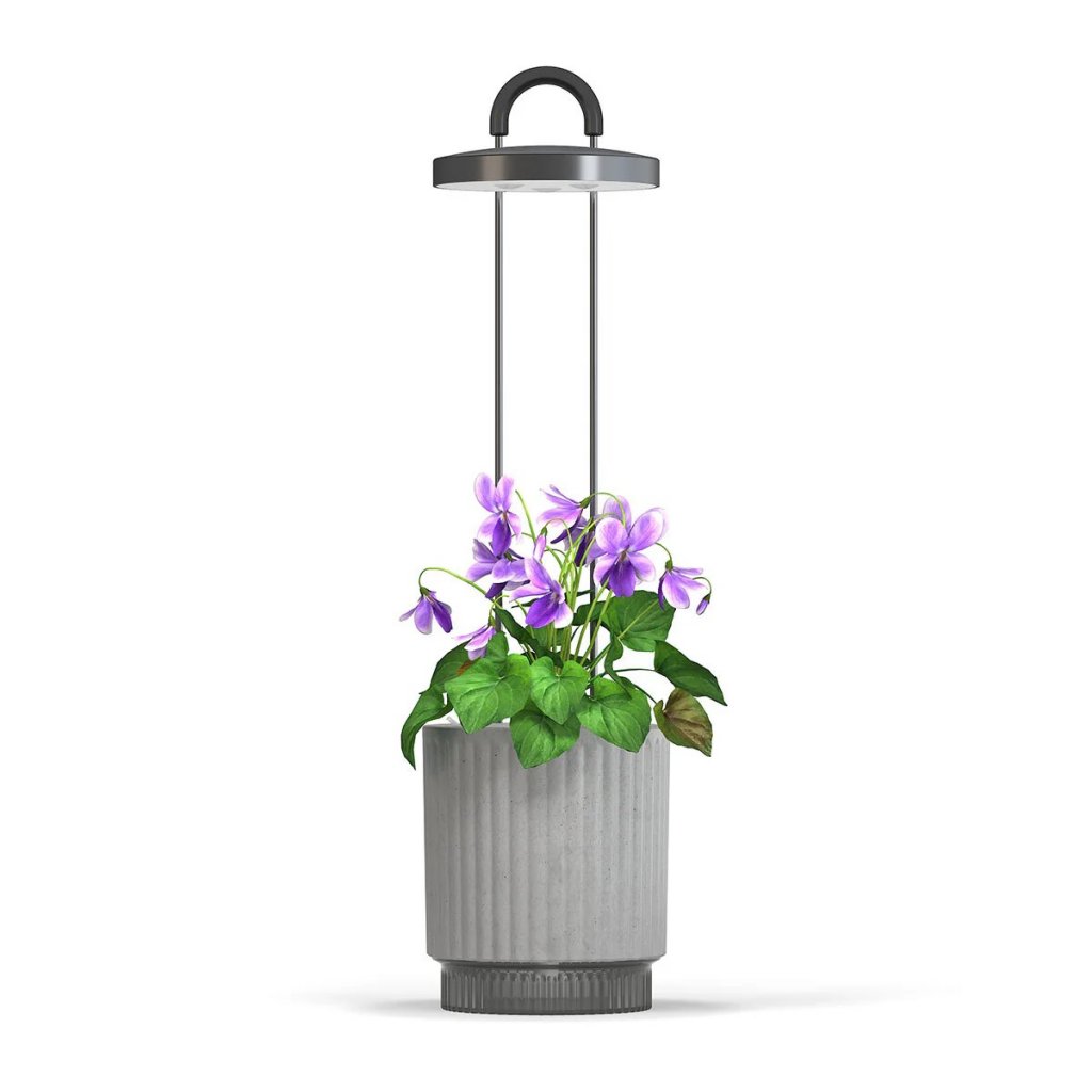 Click & Grow Hydrovase – stilren selvvanningspotte med integrert vekstlys, for innendørs dyrking. Tilgjengelig i grå eller hvit.