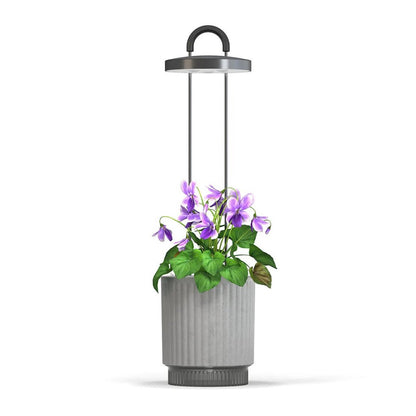 Click & Grow Hydrovase – stilren selvvanningspotte med integrert vekstlys, for innendørs dyrking. Tilgjengelig i grå eller hvit.