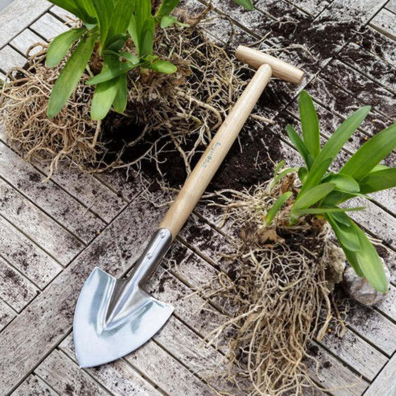 Staudespade med langt håndtak i rustfritt stål – RHS-godkjent håndspade fra Burgon & Ball for deling av stauder og planting i høybed