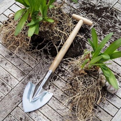 Staudespade med langt håndtak i rustfritt stål – RHS-godkjent håndspade fra Burgon & Ball for deling av stauder og planting i høybed