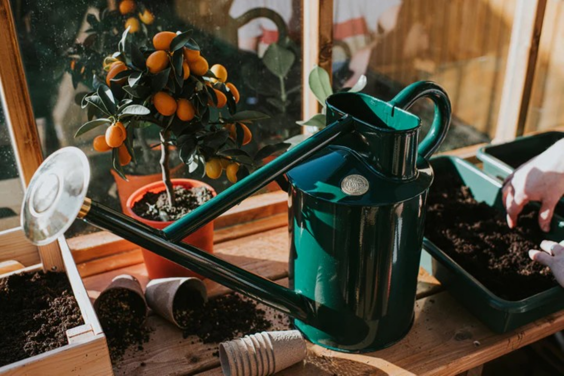 Grønn metallvannkanne i klassisk design med lang tut og grov dusjrose, perfekt for utendørs vanning av blomster og planter.
