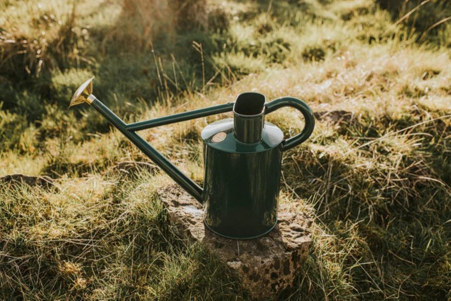 Grønn metallvannkanne i klassisk design med lang tut og grov dusjrose, perfekt for utendørs vanning av blomster og planter.