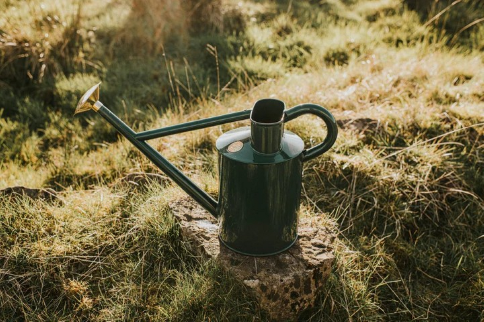 Grønn metallvannkanne i klassisk design med lang tut og grov dusjrose, perfekt for utendørs vanning av blomster og planter.