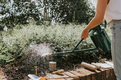Haws - The Warley Fall Green vannkanne i pulverlakkert stål med messingrose og lang tut – 4,5 liter, ideell for ampler og hageplanter