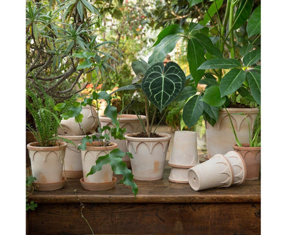 Elizabeth krukke 25 cm fra Bergs Potter med grønne planter – dekorative terrakottakrukker for inne og ute