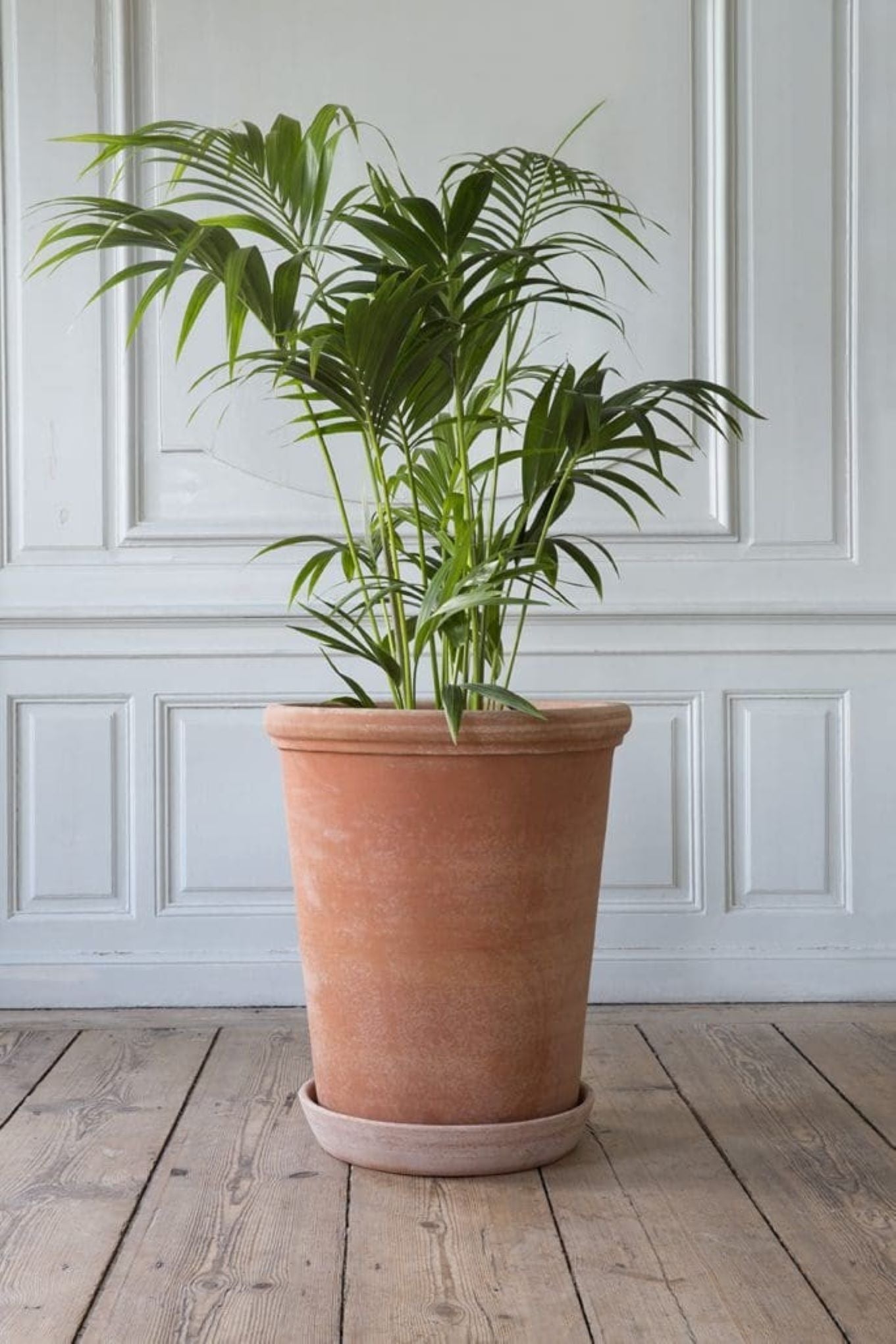 Rosa Bergs Potter Flora-krukke med planter til inne og utebruk