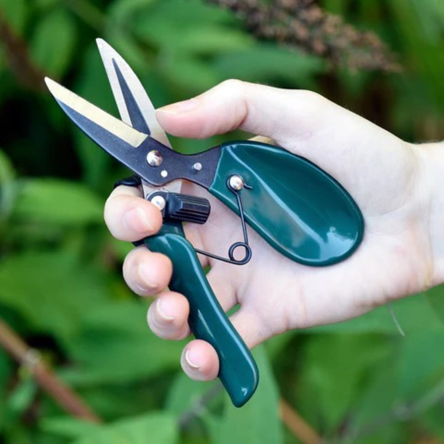 Blomstersaks brukt til avblomstring av blomster