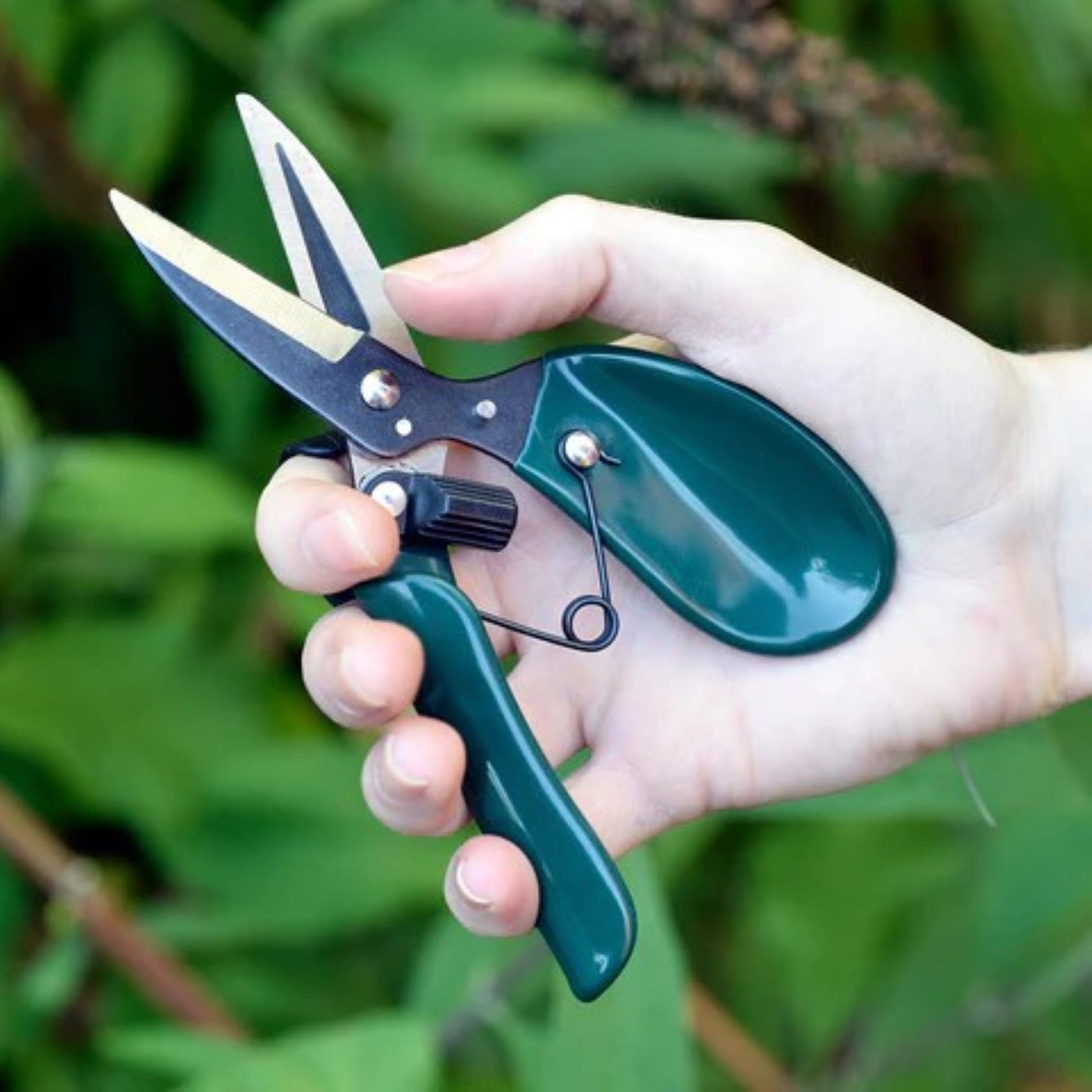 Blomstersaks brukt til avblomstring av blomster