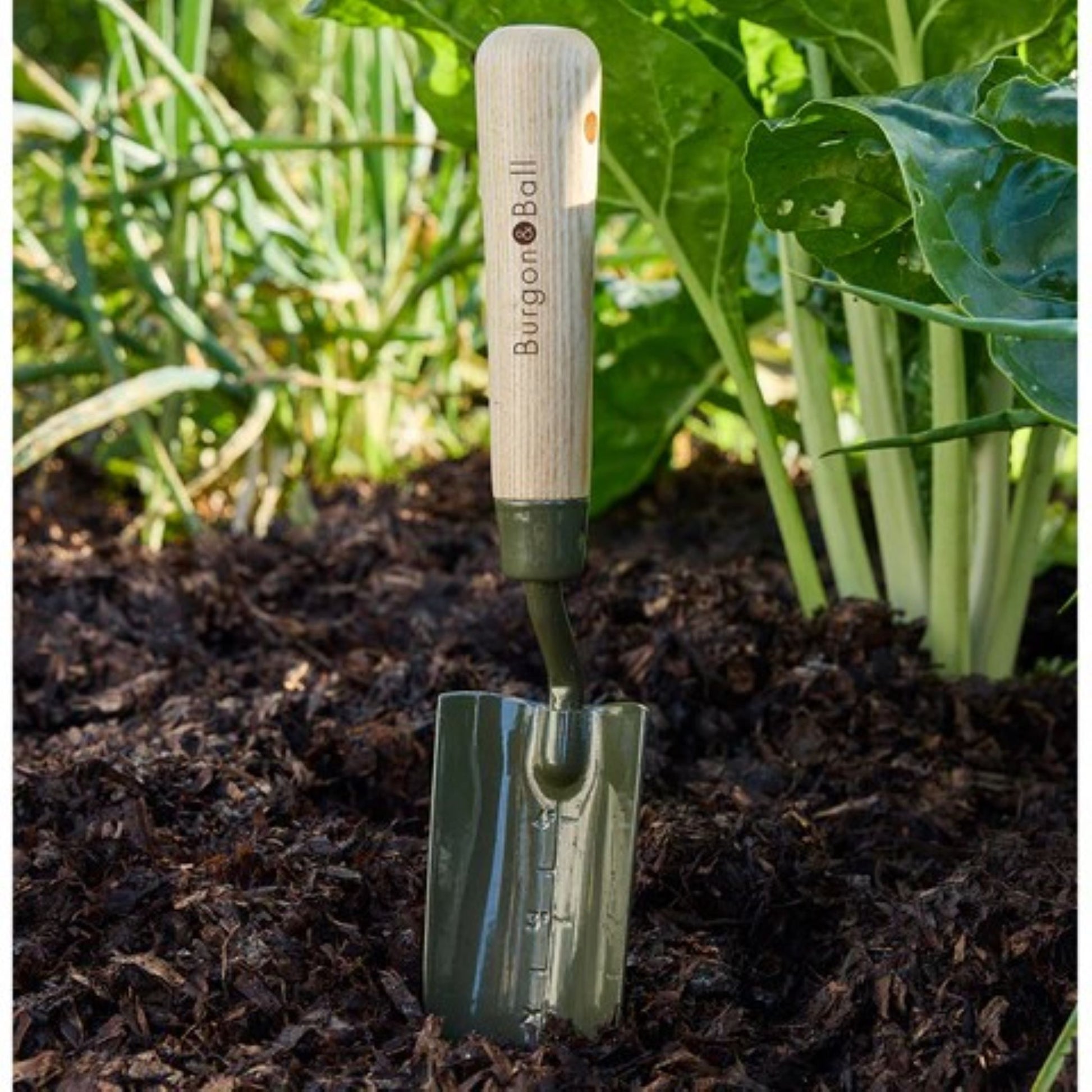 plantespade-lok-og-smplanter.jpg