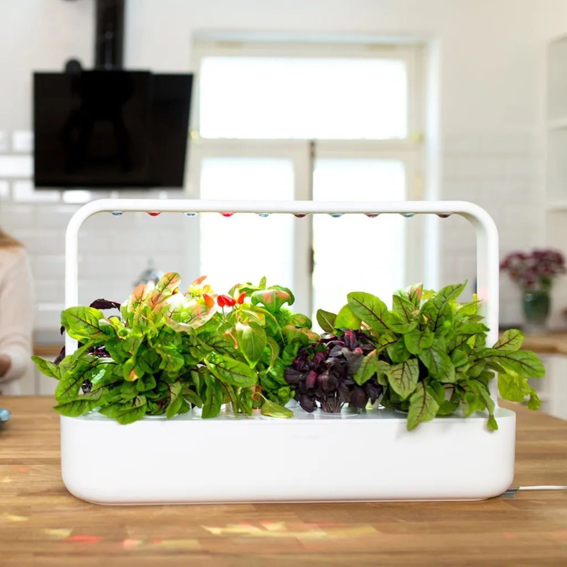 Smart Garden 9 grå plassert på kjøkkenbenk – dyrk friske urter og grønnsaker innendørs året rundt.