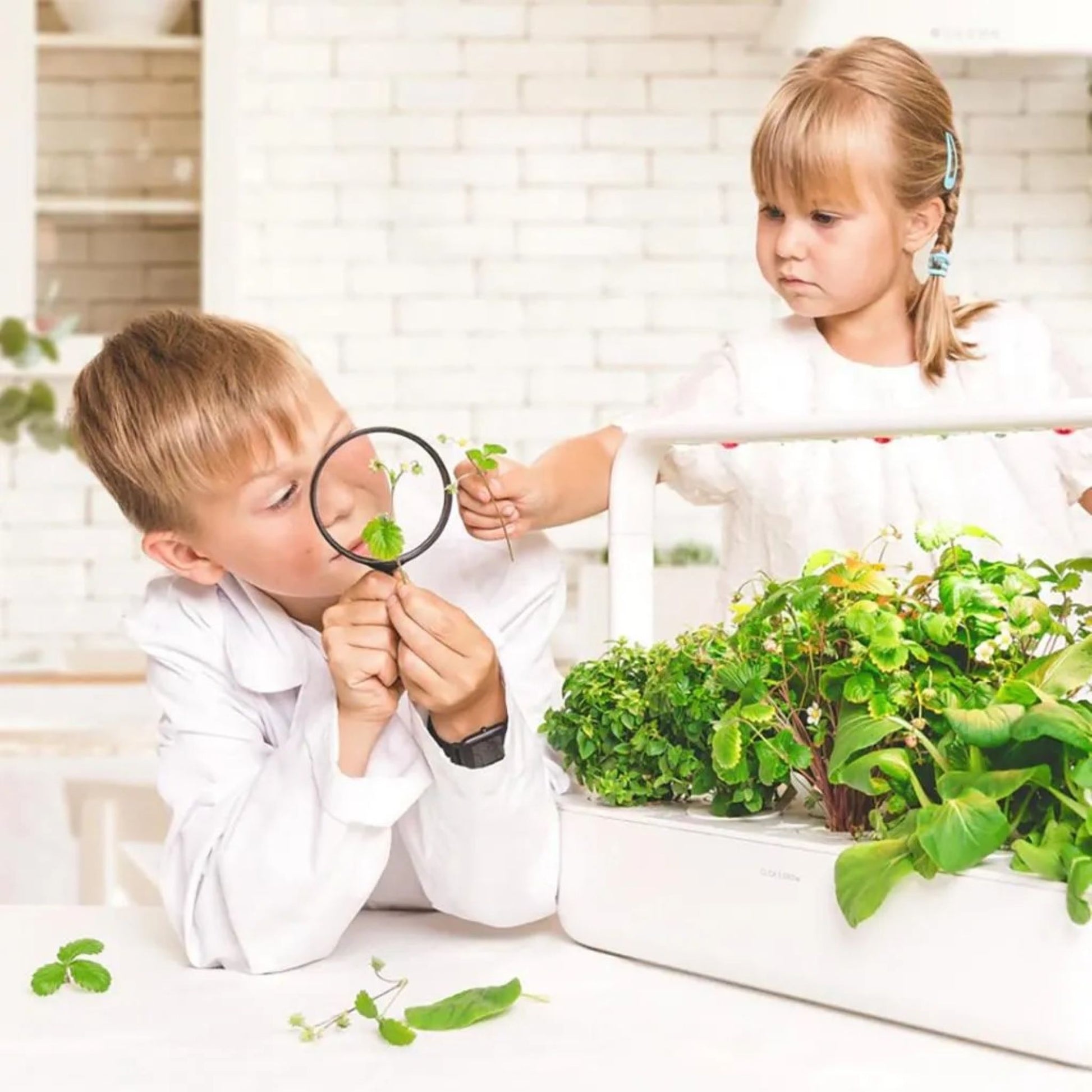 Click & Grow Smart Garden 9 Pro i hvit plassert i innendørs kjøkkenhage – app-styrt plantedyrker for urter og grønnsaker året rundt.