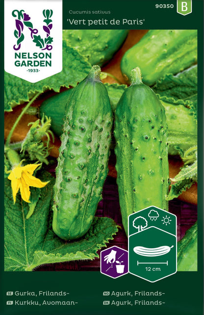 Drueagurk ‘Vert petit de Paris’ med korte, mørkegrønne frukter