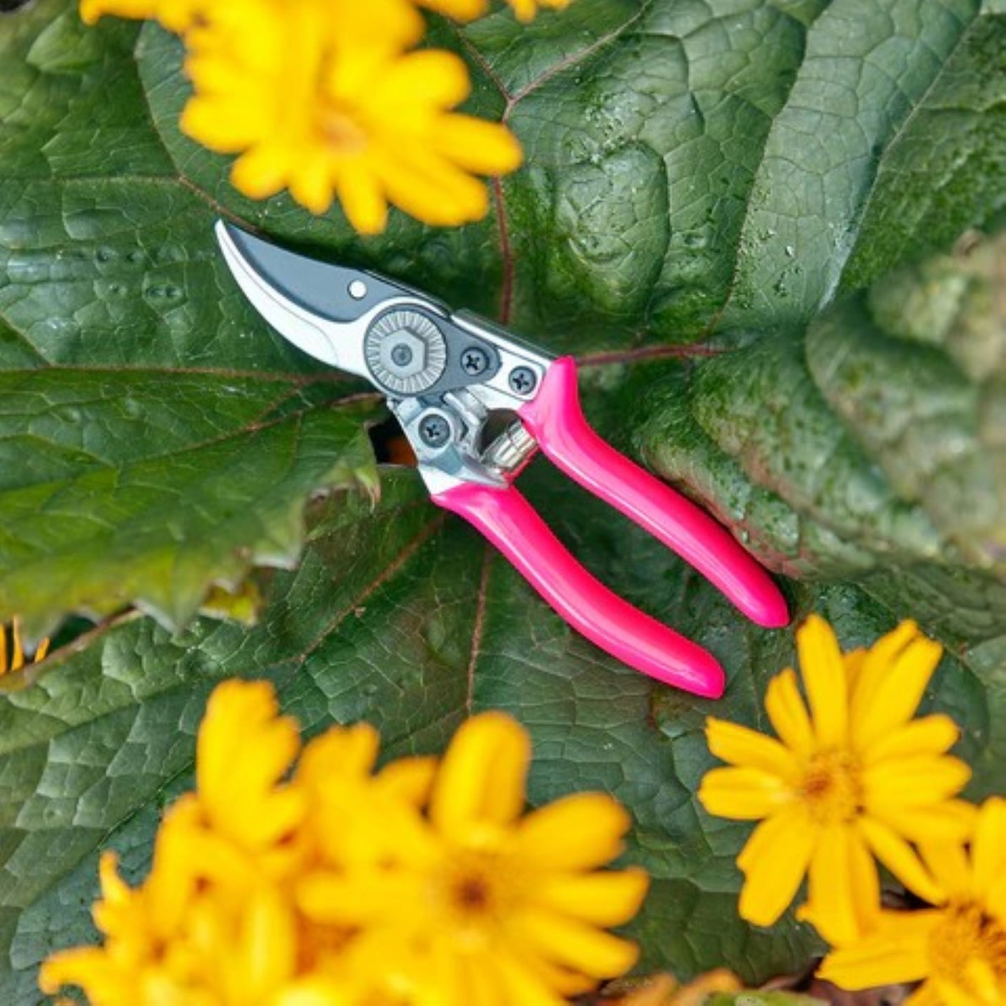 FloraBrite® Rosa Beskjæringssaks i bruk, kutter gren opptil 1,5 cm