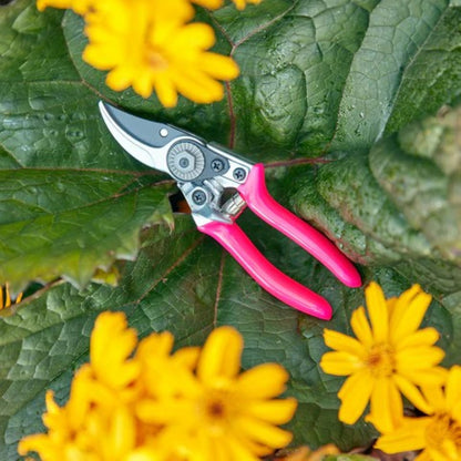 FloraBrite® Rosa Beskjæringssaks i bruk, kutter gren opptil 1,5 cm