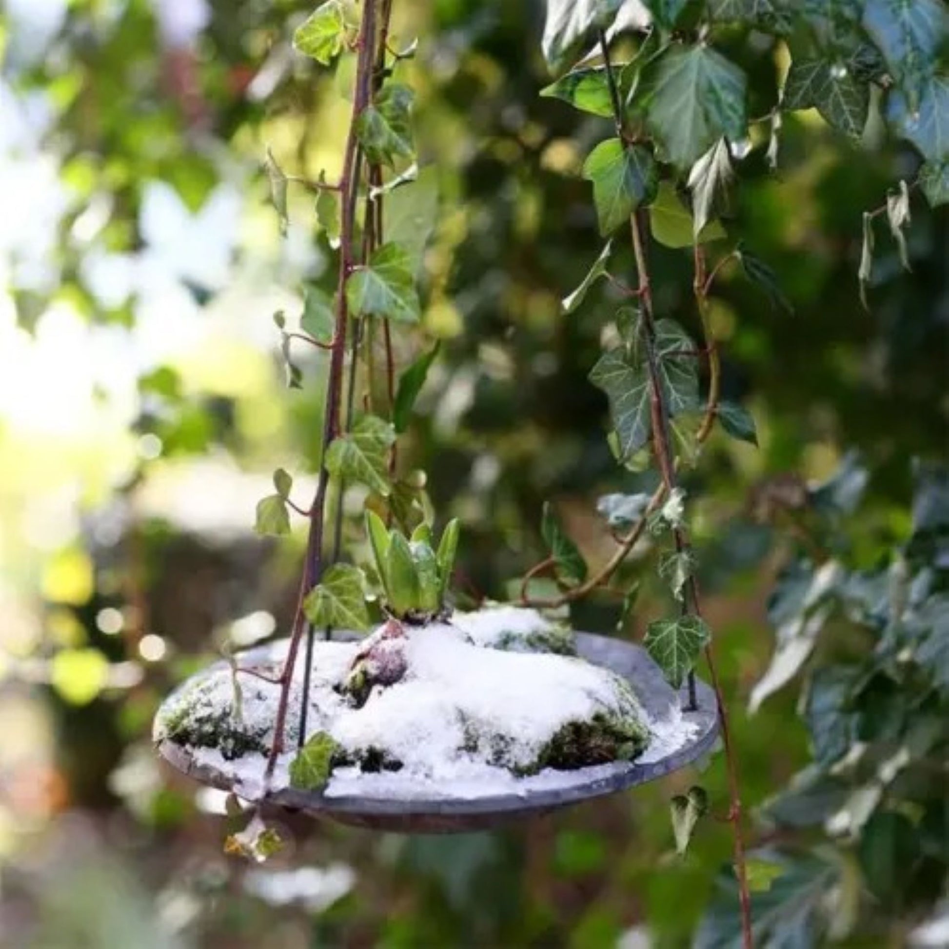 Hengende fuglebad på 22 cm som gir småfugler tilgang på vann i hagen