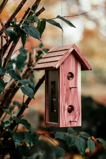 Fuglemater «Cedar» fra Nelson Garden plassert i hagen – fire sitteplasser og dekorative metalldetaljer.