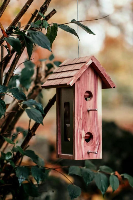 Fuglemater «Cedar» fra Nelson Garden plassert i hagen – fire sitteplasser og dekorative metalldetaljer.
