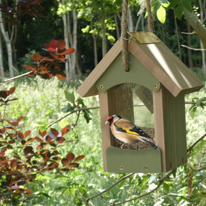 Bird Barn fuglemater i naturtre og grønt