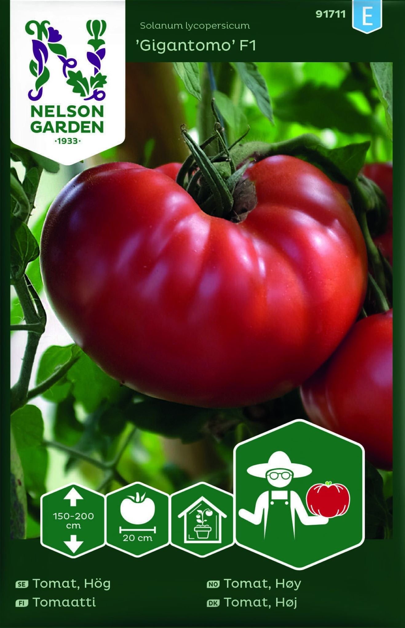 Gigantomo F1 tomatplante dyrket i solfylt drivhus