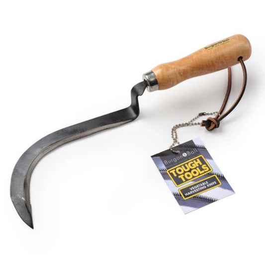 Grønnsakskniv for høsting av kraftige stilker i kjøkkenhagen