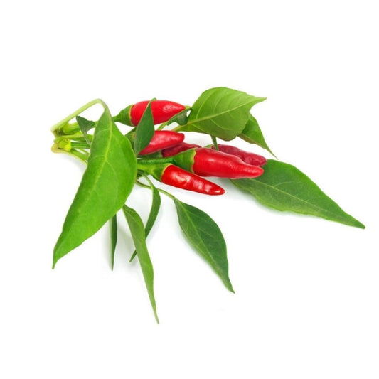 Click & Grow Smart Garden Refill 3-pack – Piri Piri Chili