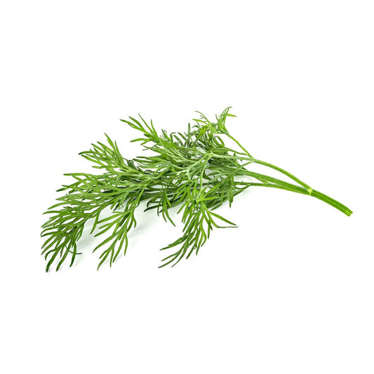 Click & Grow Smart Garden Refill 3-pack – Dill