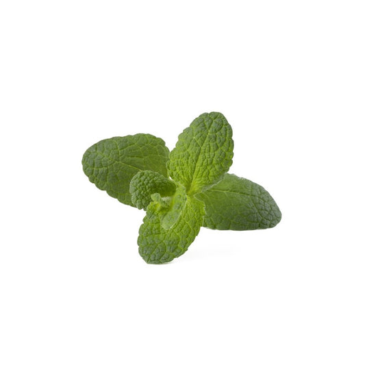 Click & Grow Smart Garden Refill 3-pack – Eplemynte