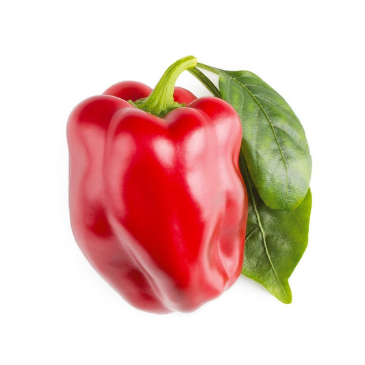 Click & Grow Smart Garden Refill 3-pack – Rød paprika