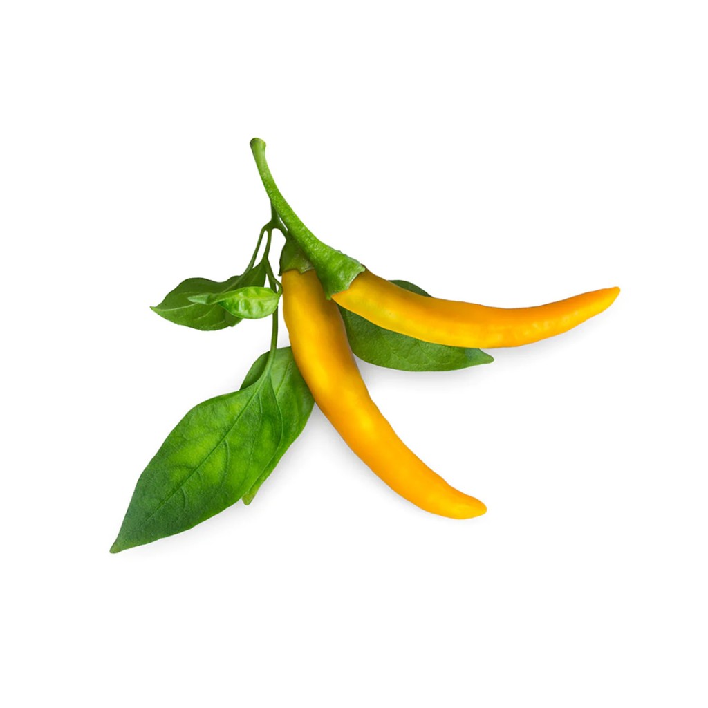 Click and Grow Smart Garden – Refill Gul Chili (3-pack)