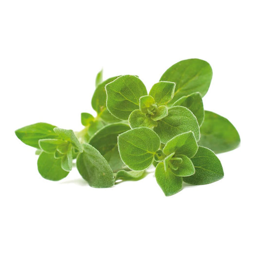 Click & Grow Smart Garden Refill 3-pack – Oregano