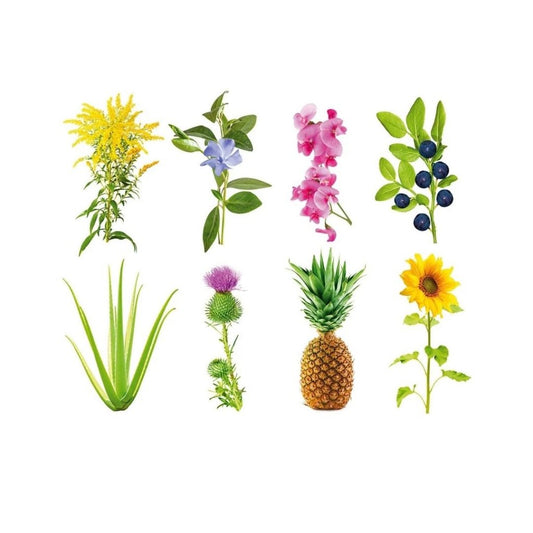 Click & Grow Smart Garden Refill 3-pack – Eksperimentell, dyrk egne frø