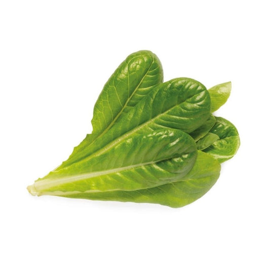 Click & Grow Smart Garden Refill 3-pack – Romansalat