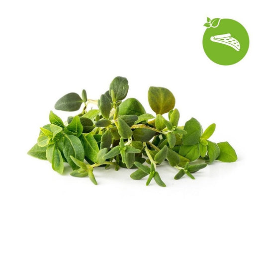 Click & Grow Smart Garden Refill 9-pack – Italienske urter