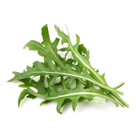 Click & Grow Smart Garden Refill 3-pack – Rucola