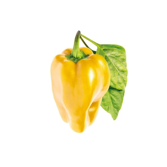 Click & Grow Smart Garden Refill 3-pack – Gul paprika
