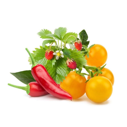 Click & Grow Smart Garden Refill 9-pack – Frukt- og grønnsaksmiks