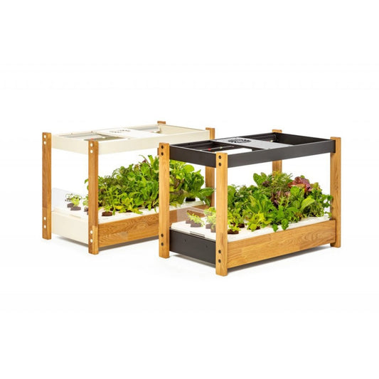 Click and Grow 25