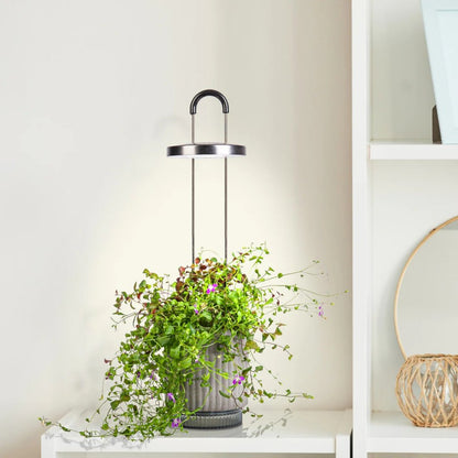 Click & Grow HydroVase – Innendørsdyrking med stil
