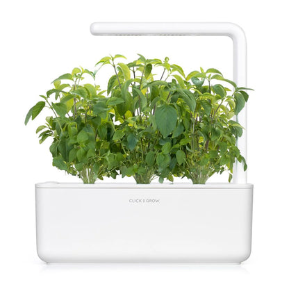 Click & Grow Smart Garden Refill 3-pack – Thai Basil