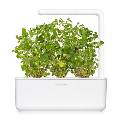 Click & Grow Smart Garden Refill 3-pack – Oregano