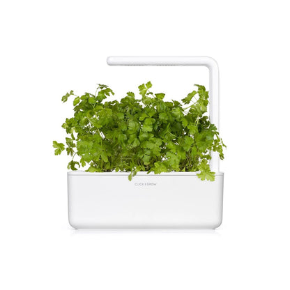 Click & Grow Smart Garden Refill 3-pack – Kruspersille