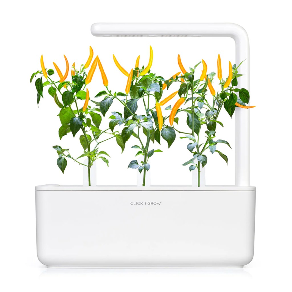 Click and Grow Smart Garden – Refill Gul Chili (3-pack)