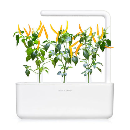 Click and Grow Smart Garden – Refill Gul Chili (3-pack)