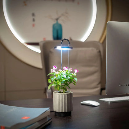 Click & Grow HydroVase – Innendørsdyrking med stil