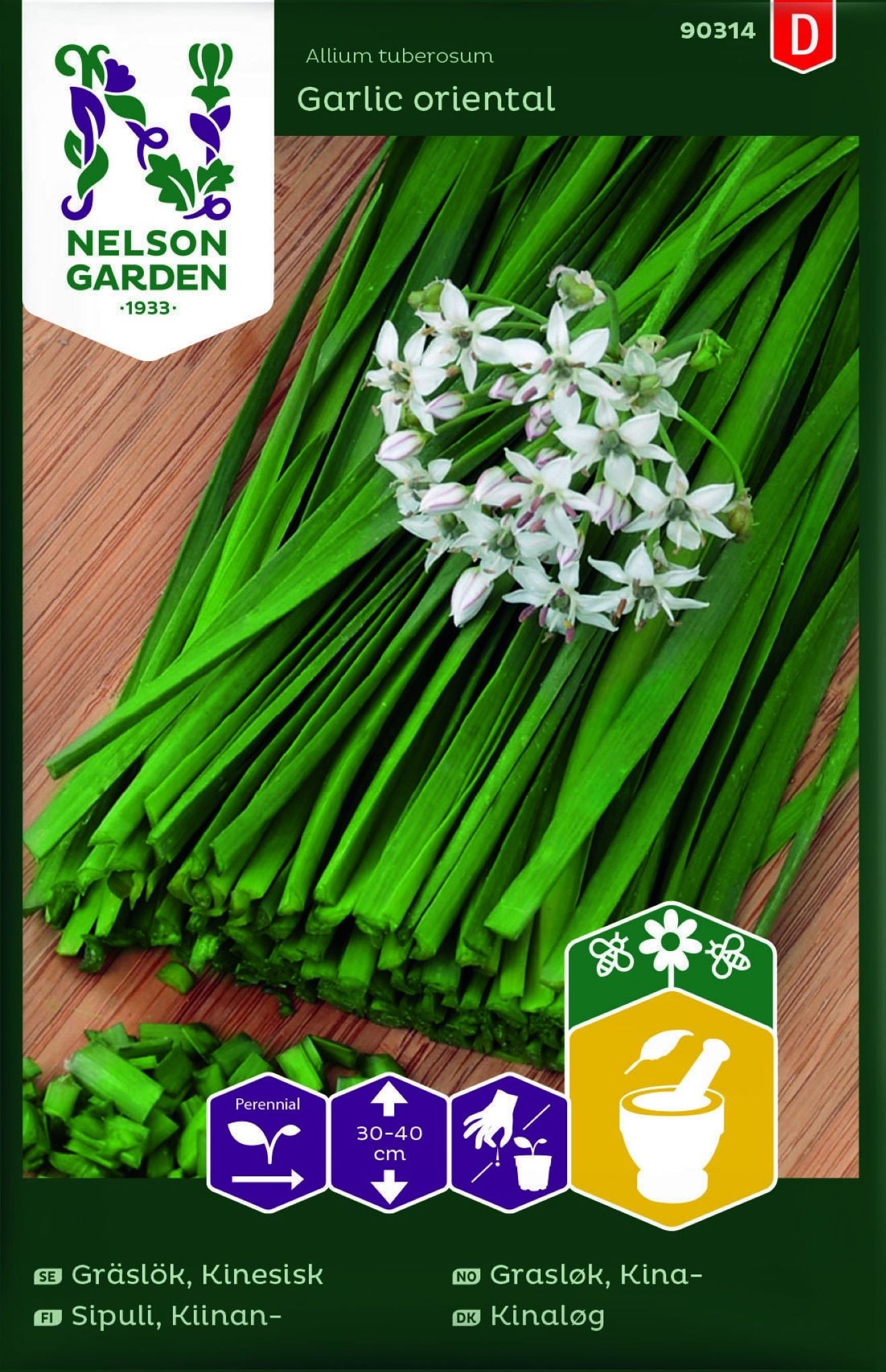 Kina gressløk (Garlic Oriental) dyrket fra frø.
